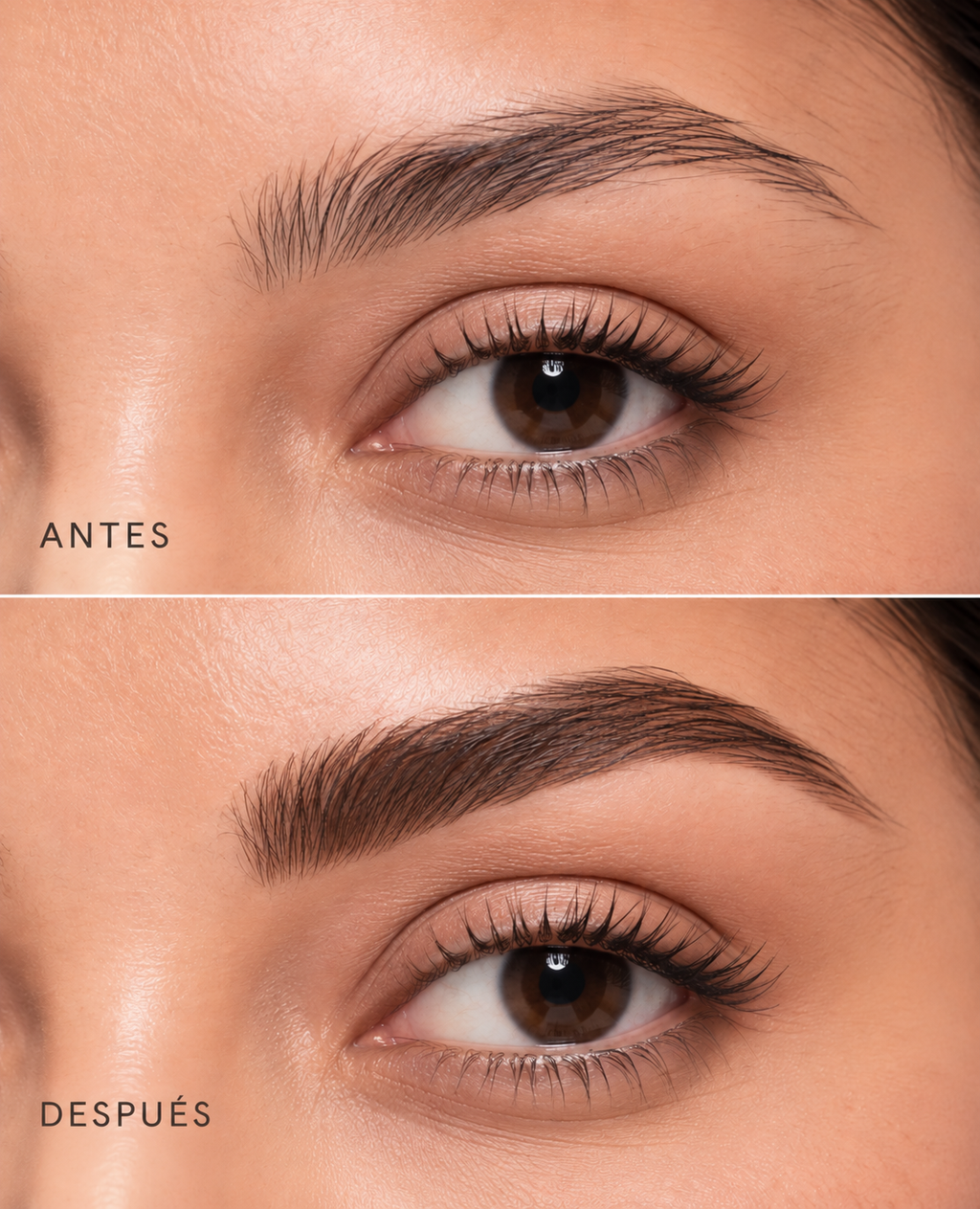 Kit para Cejas – Definición en Minutos